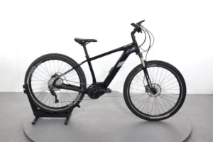 Cannondale Tesoro Neo X3