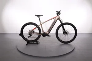 Corratec E-Power X-Vert Pro