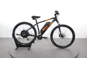 RR4ZL8-1 Prophete Entdecker E-Bike 20.EEM.20